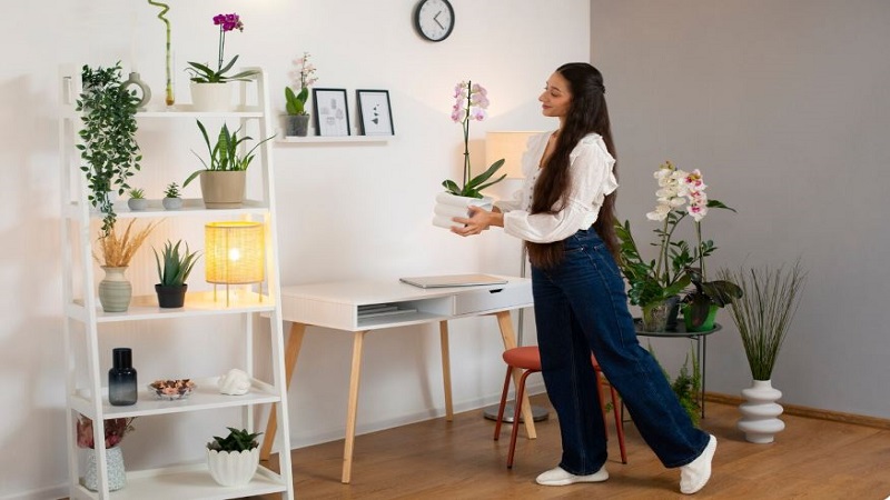 Decoration Tips Decoradhouse From Decoratoradvice